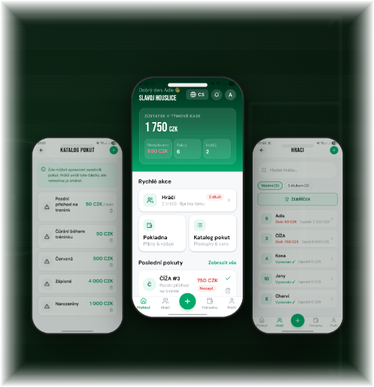 EasyFines app screenshot
